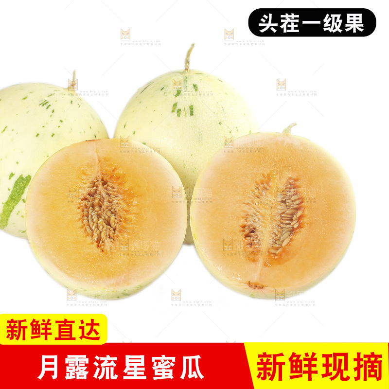 白底上的月露流星蜜瓜