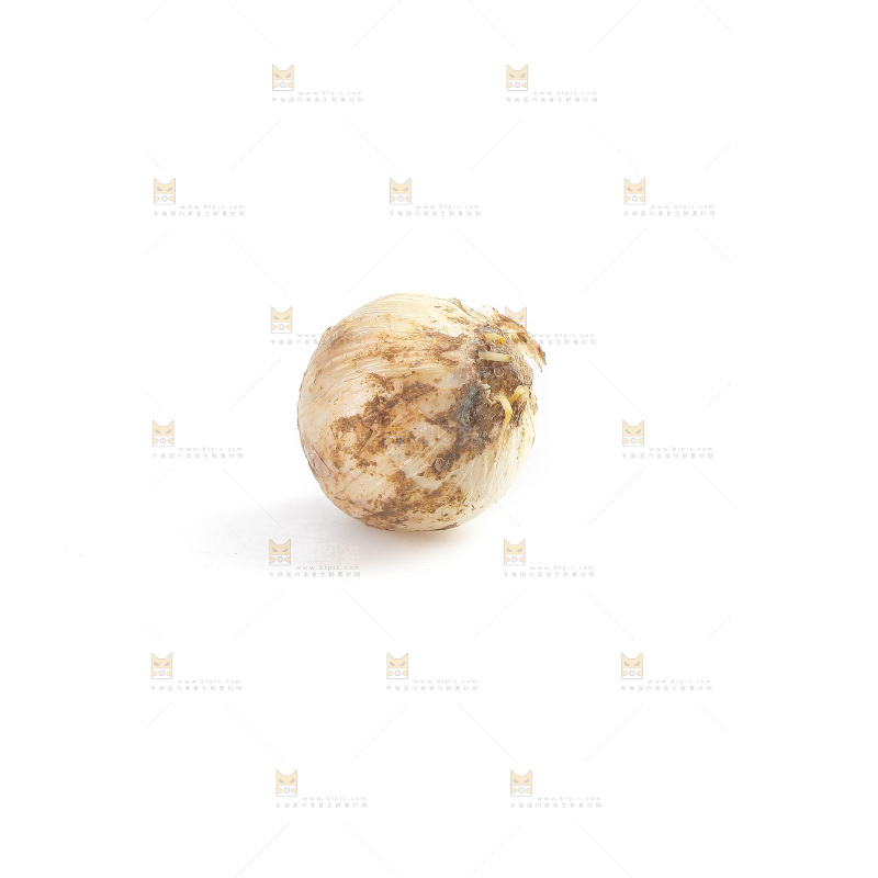 白底上的藠头籽