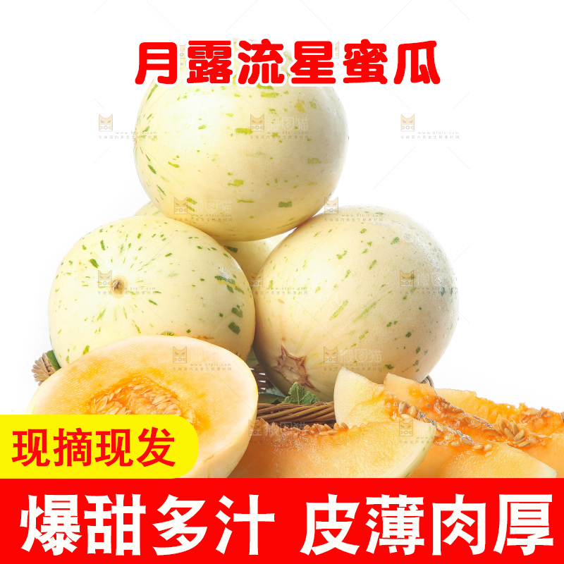 白底上的月露流星蜜瓜