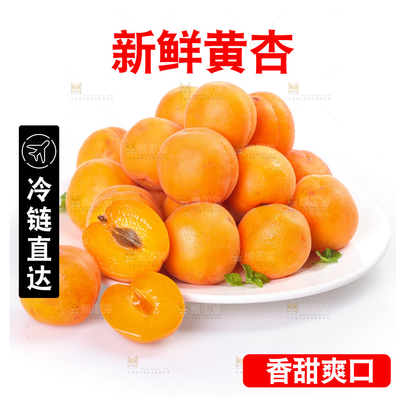 白底上的大黄杏