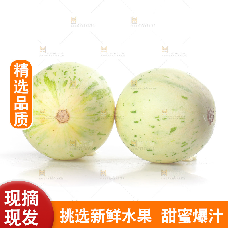 白底上的月露流星蜜瓜