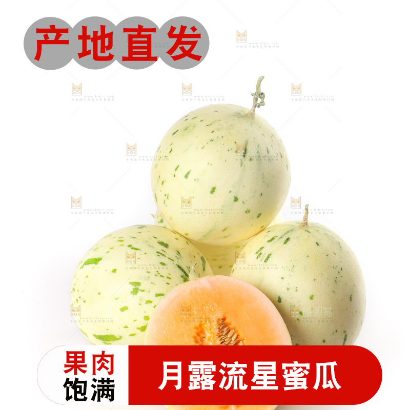 白底上的月露流星蜜瓜