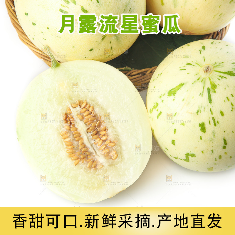 白底上的月露流星蜜瓜