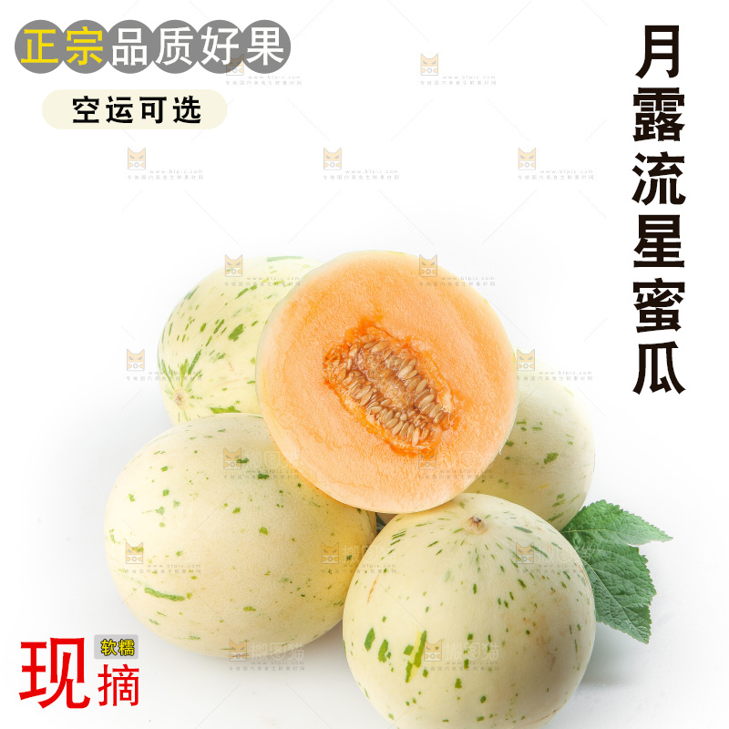 白底上的月露流星蜜瓜