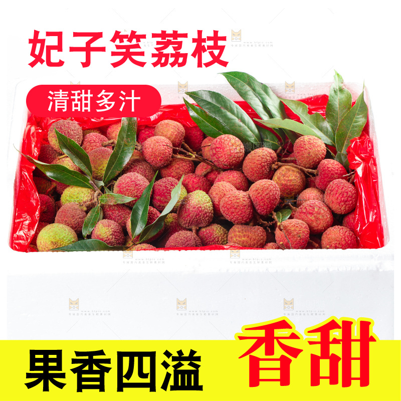 箱子里的妃子笑
