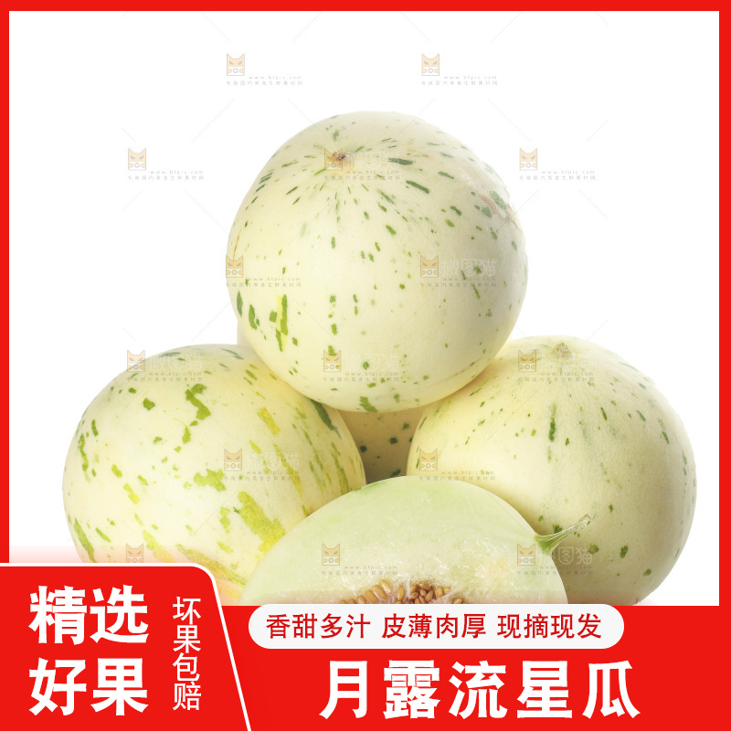 白底上的月露流星蜜瓜