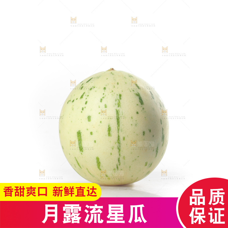 白底上的月露流星蜜瓜