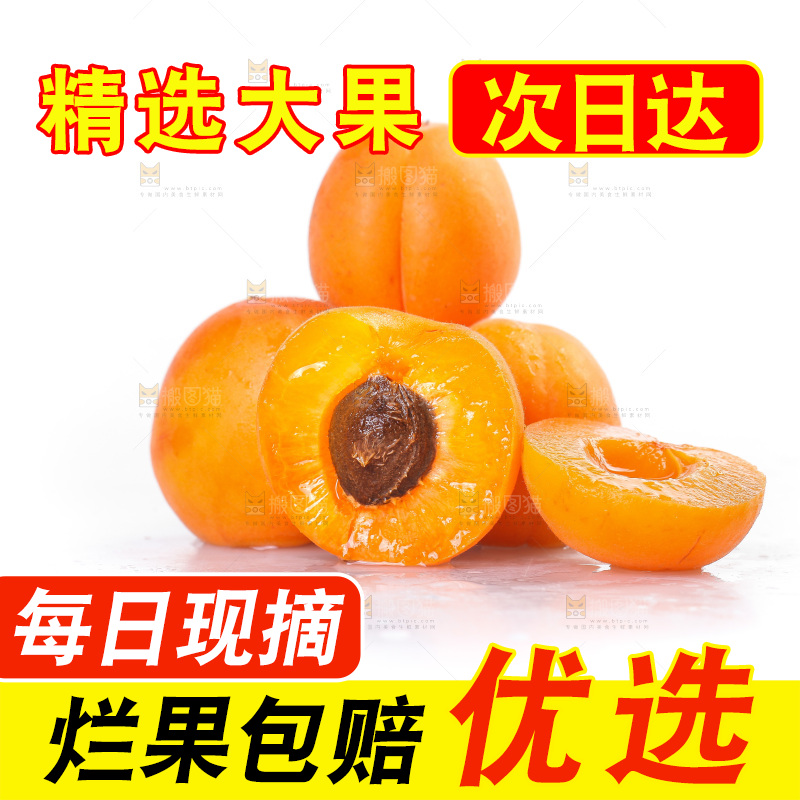 白底上的大黄杏