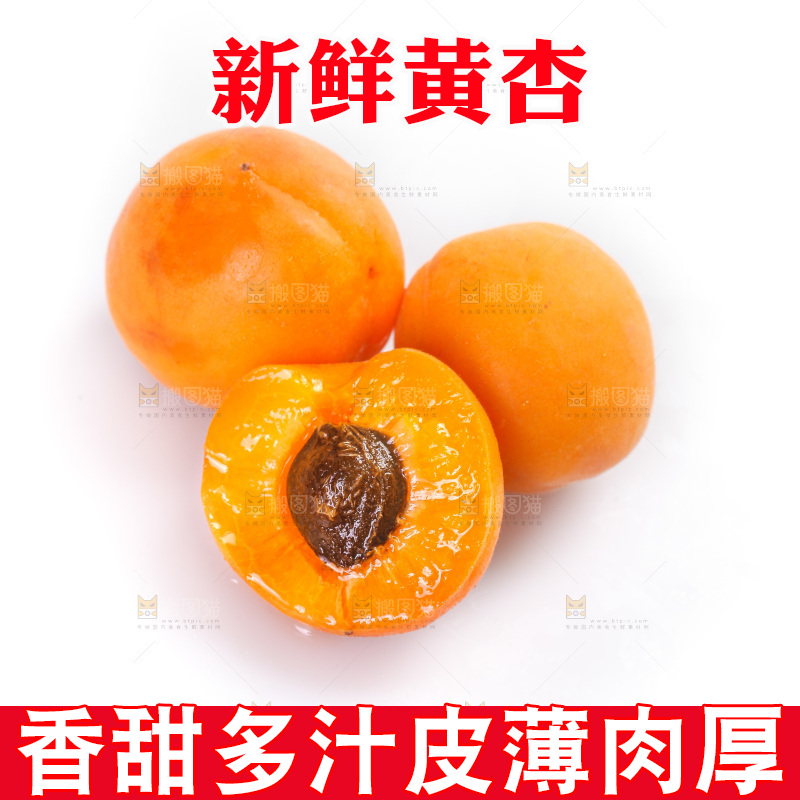 白底上的大黄杏