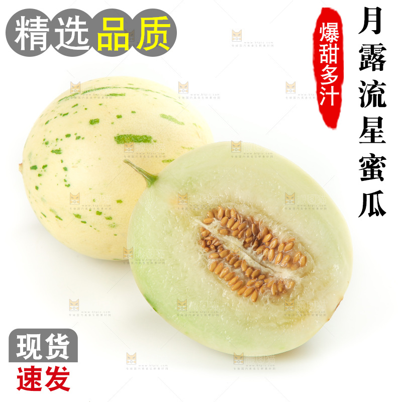 白底上的月露流星蜜瓜