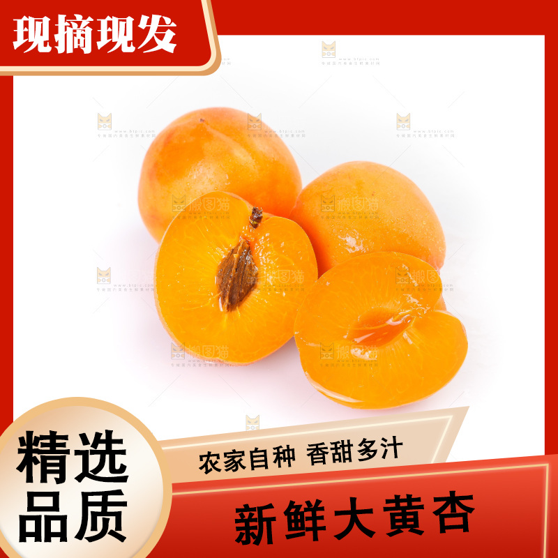 白底上的大黄杏