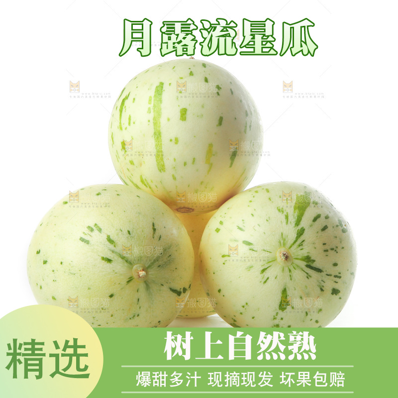 白底上的月露流星蜜瓜