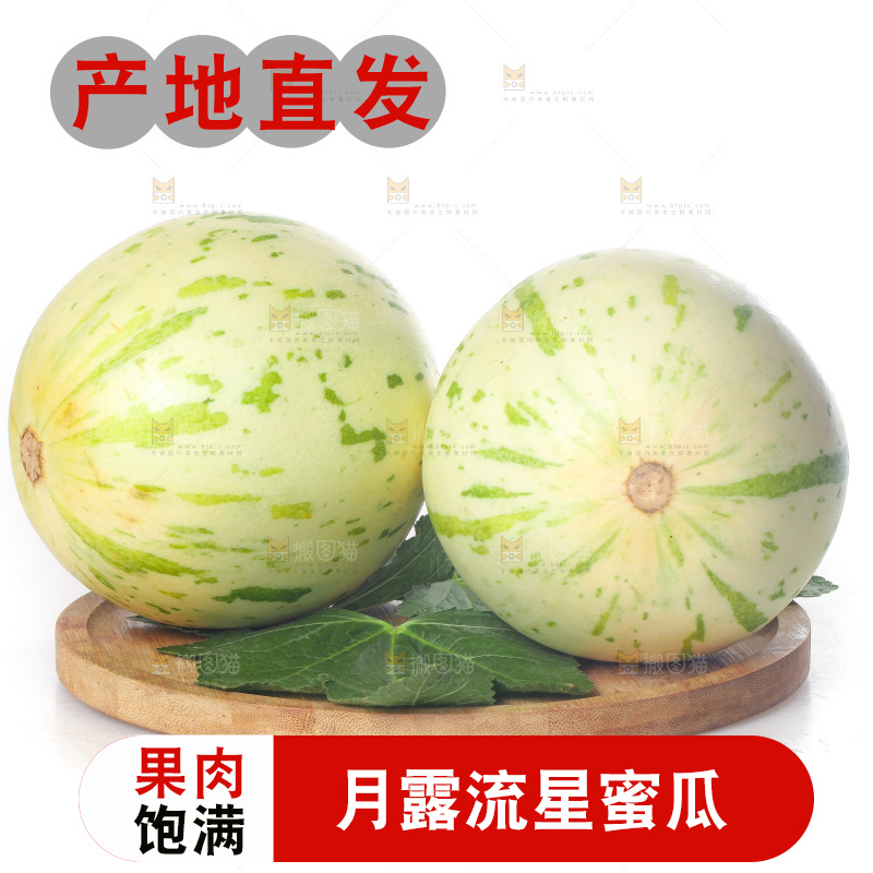 白底上的月露流星蜜瓜