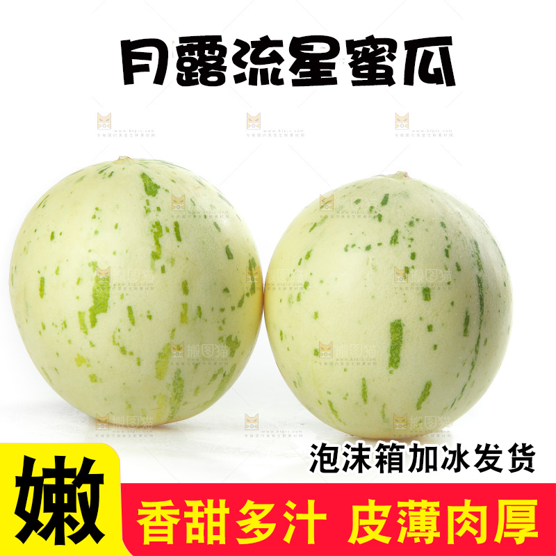 白底上的月露流星蜜瓜