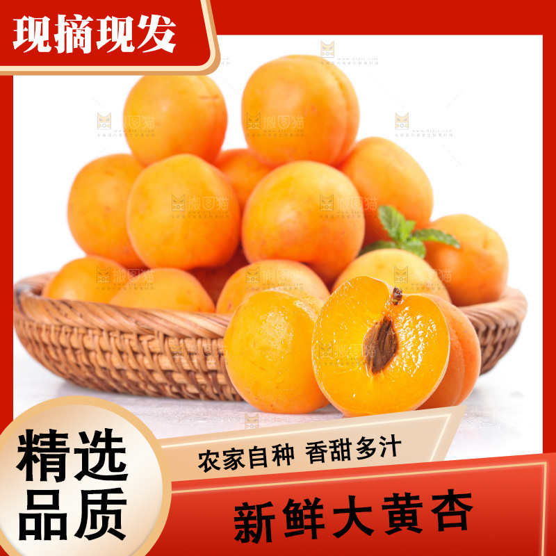 白底上的大黄杏