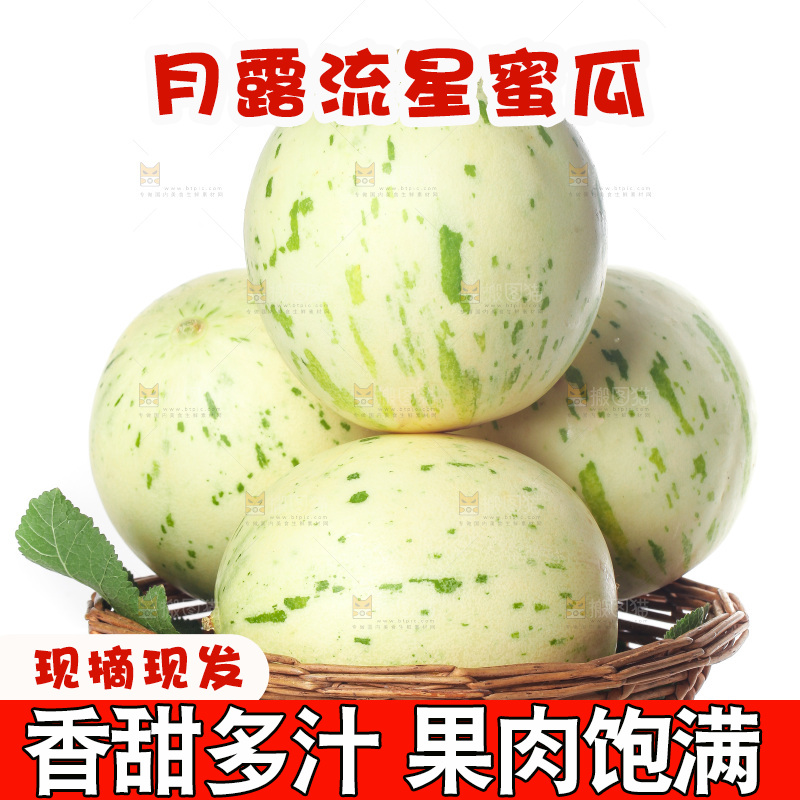 白底上的月露流星蜜瓜
