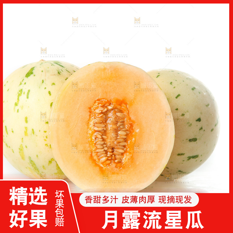 白底上的月露流星蜜瓜