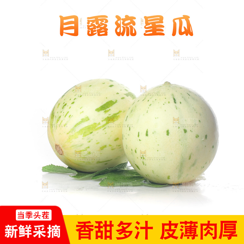 白底上的月露流星蜜瓜