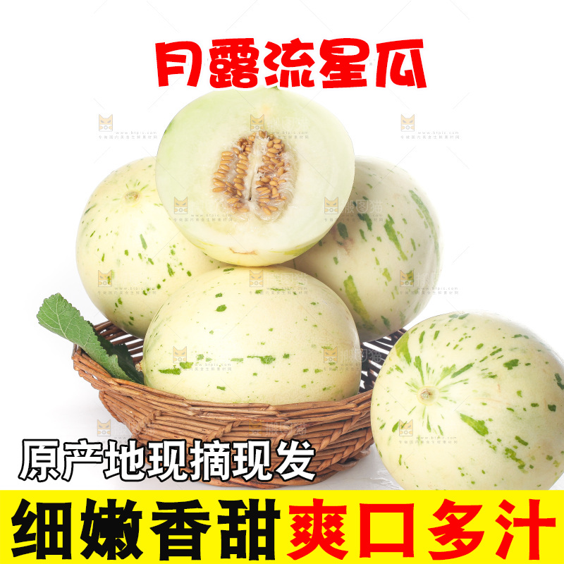 白底上的月露流星蜜瓜
