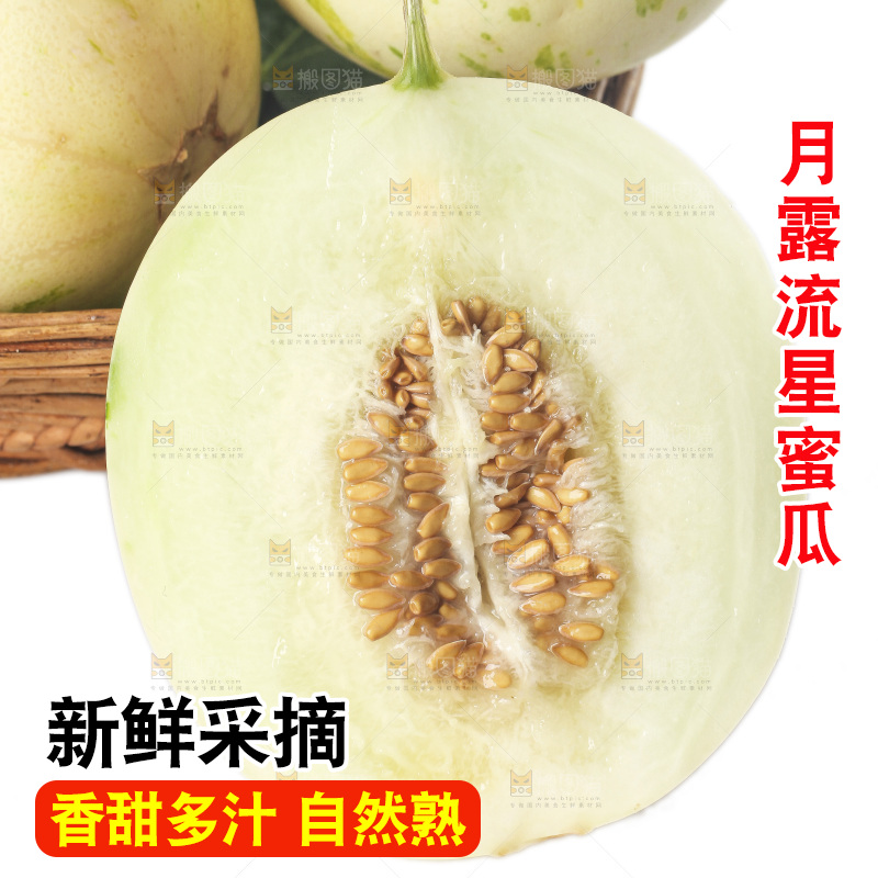 白底上的月露流星蜜瓜