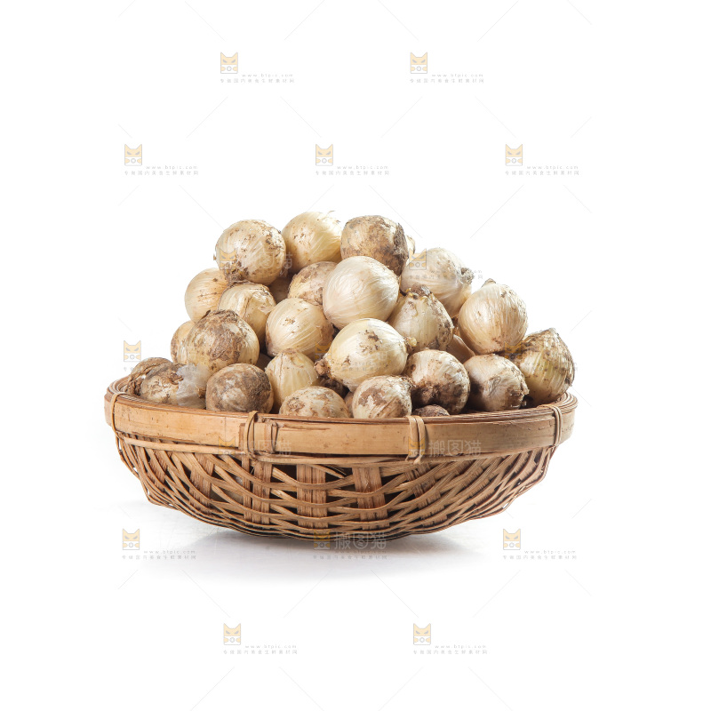 白底上的藠头籽