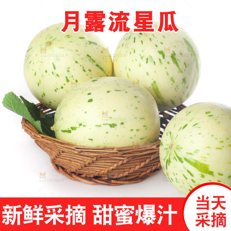 白底上的月露流星蜜瓜
