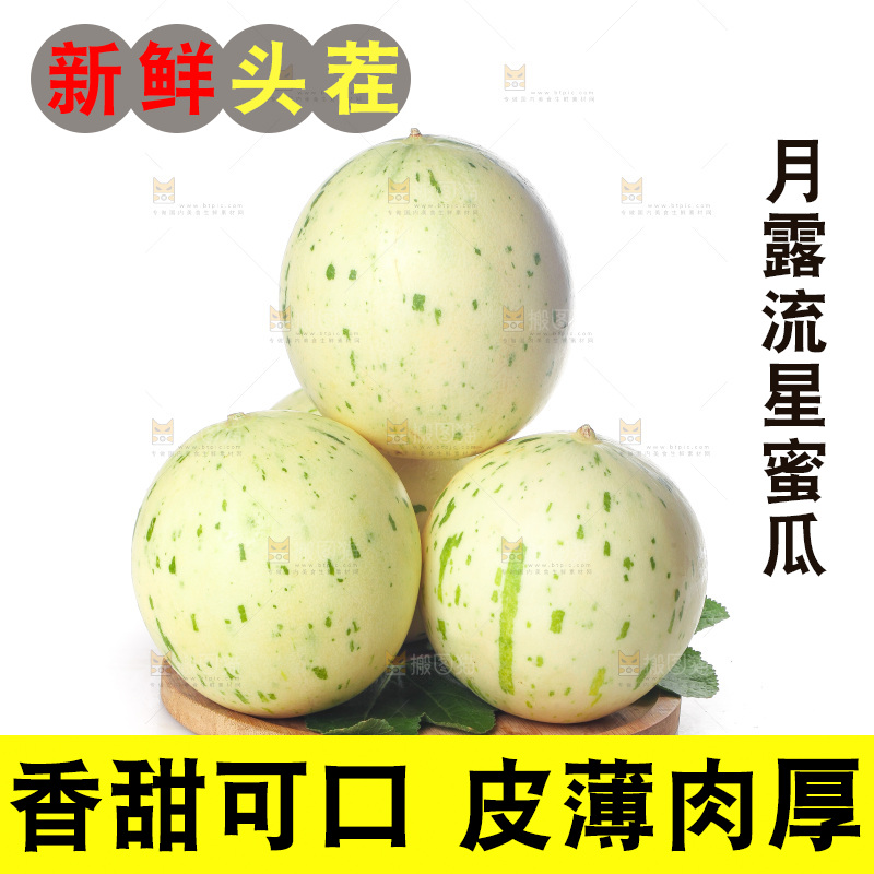 白底上的月露流星蜜瓜