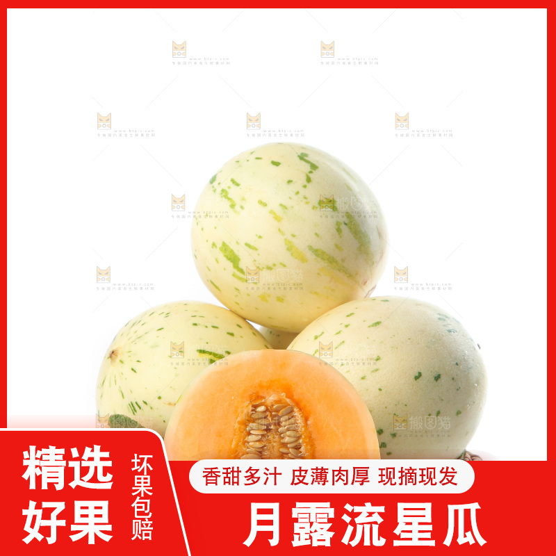 白底上的月露流星蜜瓜