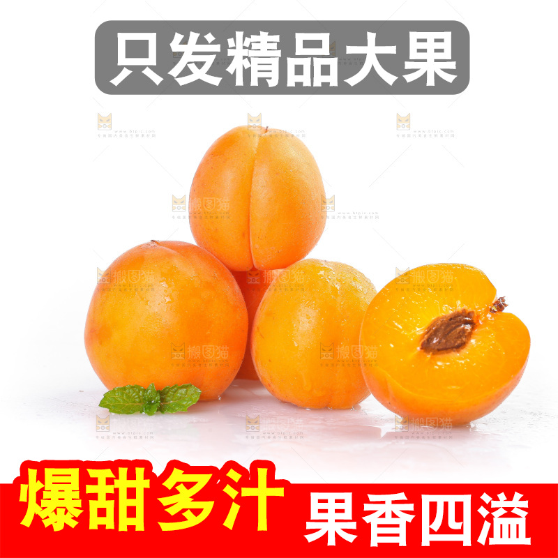 白底上的大黄杏