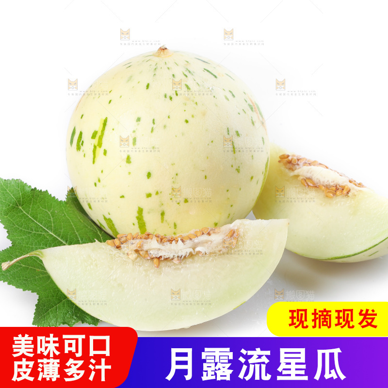 白底上的月露流星蜜瓜