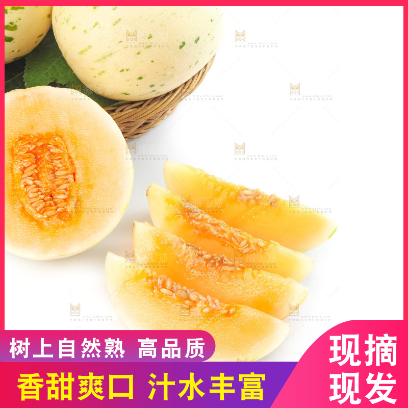 白底上的月露流星蜜瓜