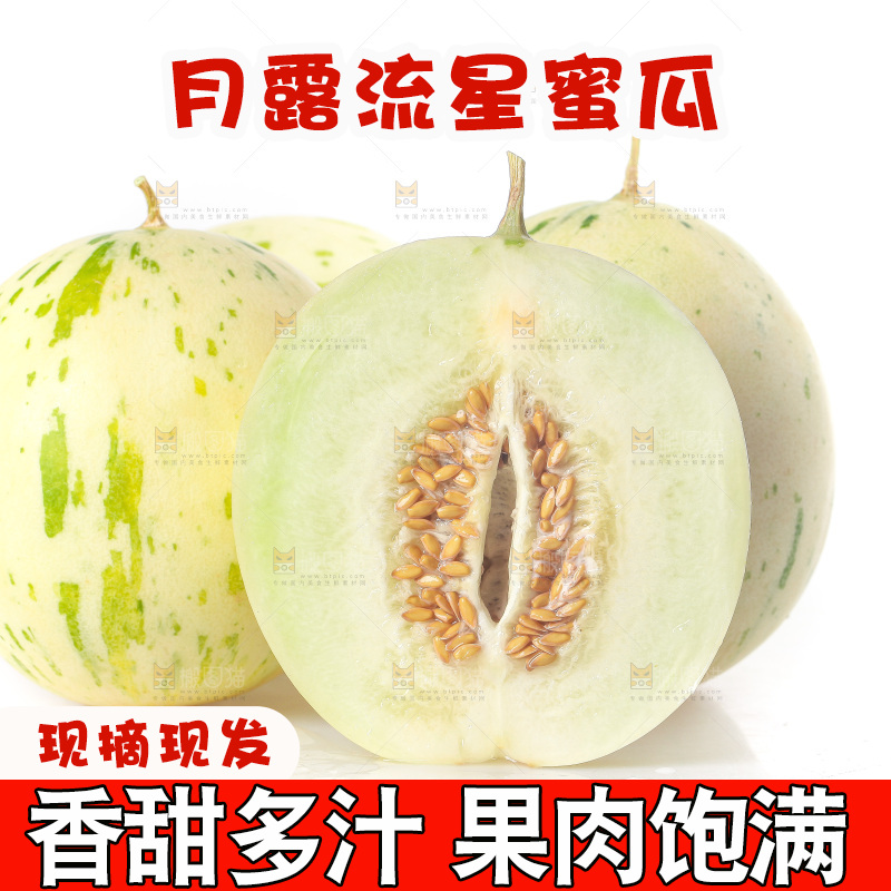白底上的月露流星蜜瓜
