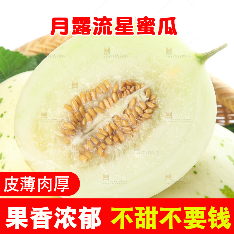 白底上的月露流星蜜瓜