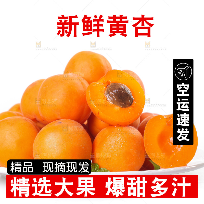 白底上的大黄杏