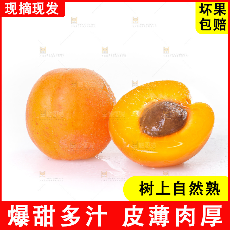 白底上的大黄杏