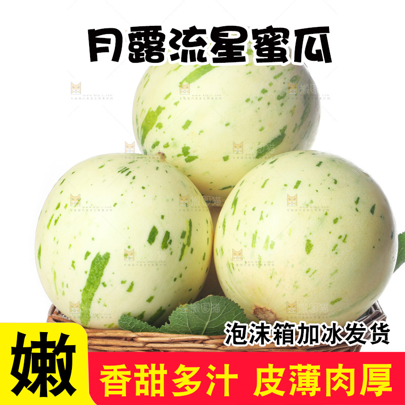 白底上的月露流星蜜瓜