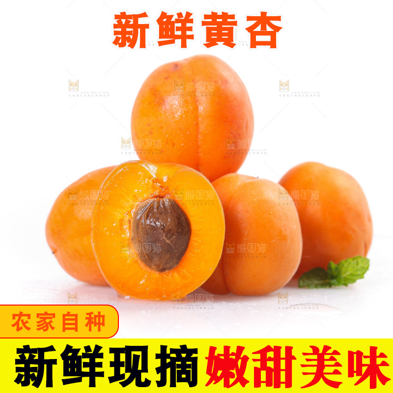 白底上的大黄杏
