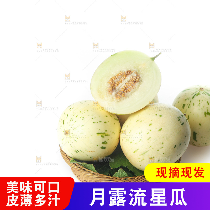 白底上的月露流星蜜瓜