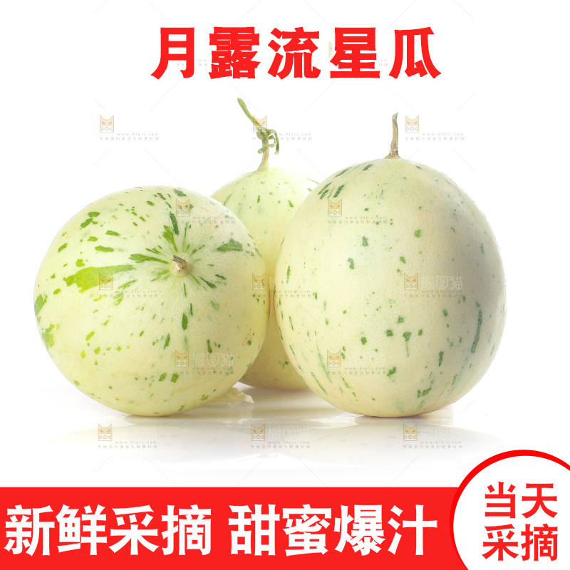 白底上的月露流星蜜瓜