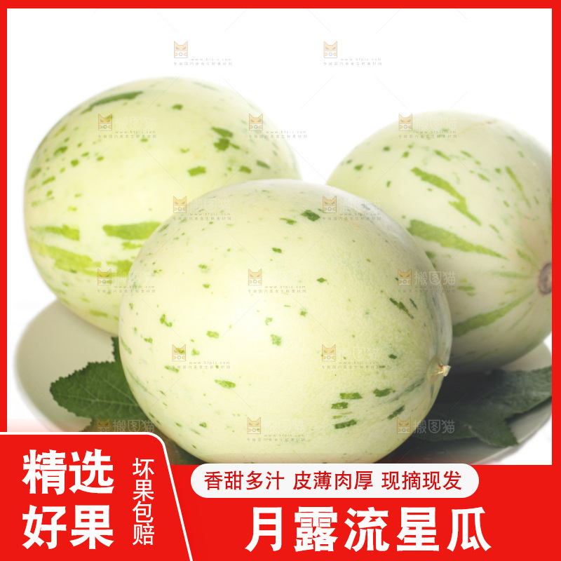 白底上的月露流星蜜瓜