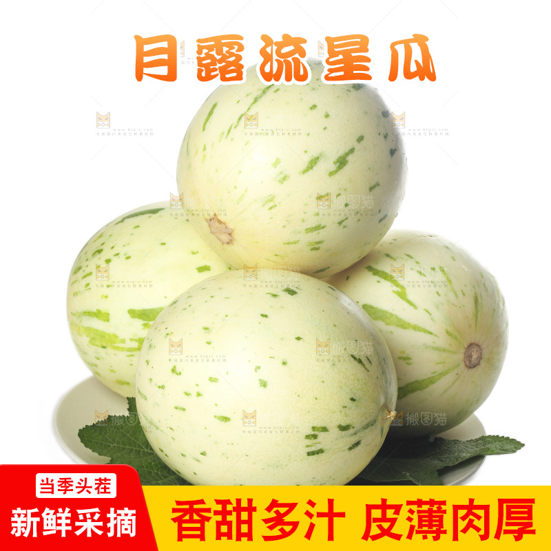 白底上的月露流星蜜瓜