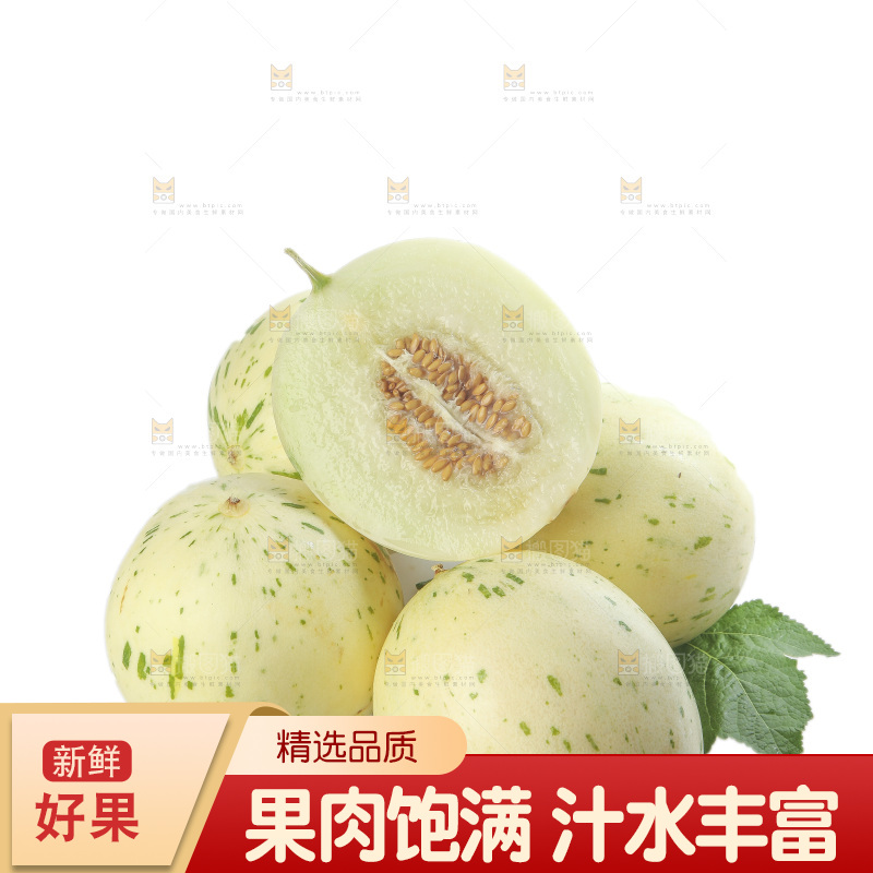 白底上的月露流星蜜瓜