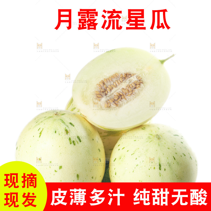 白底上的月露流星蜜瓜