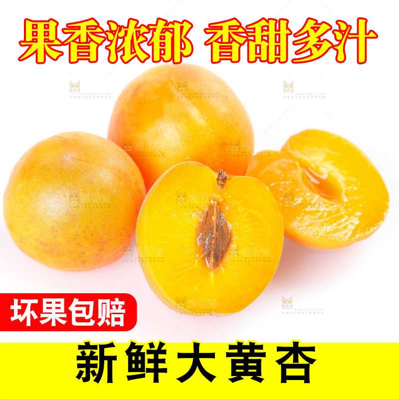 白底上的大黄杏