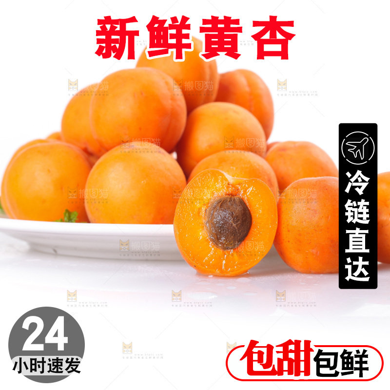 白底上的大黄杏