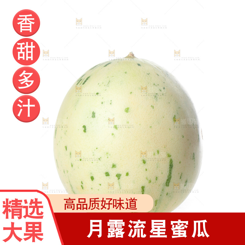 白底上的月露流星蜜瓜