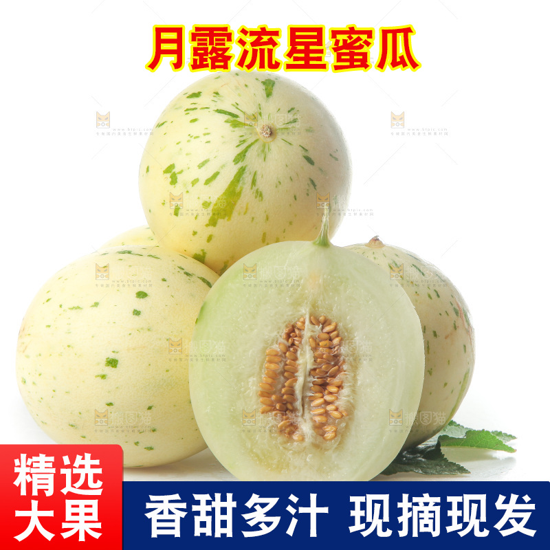 白底上的月露流星蜜瓜