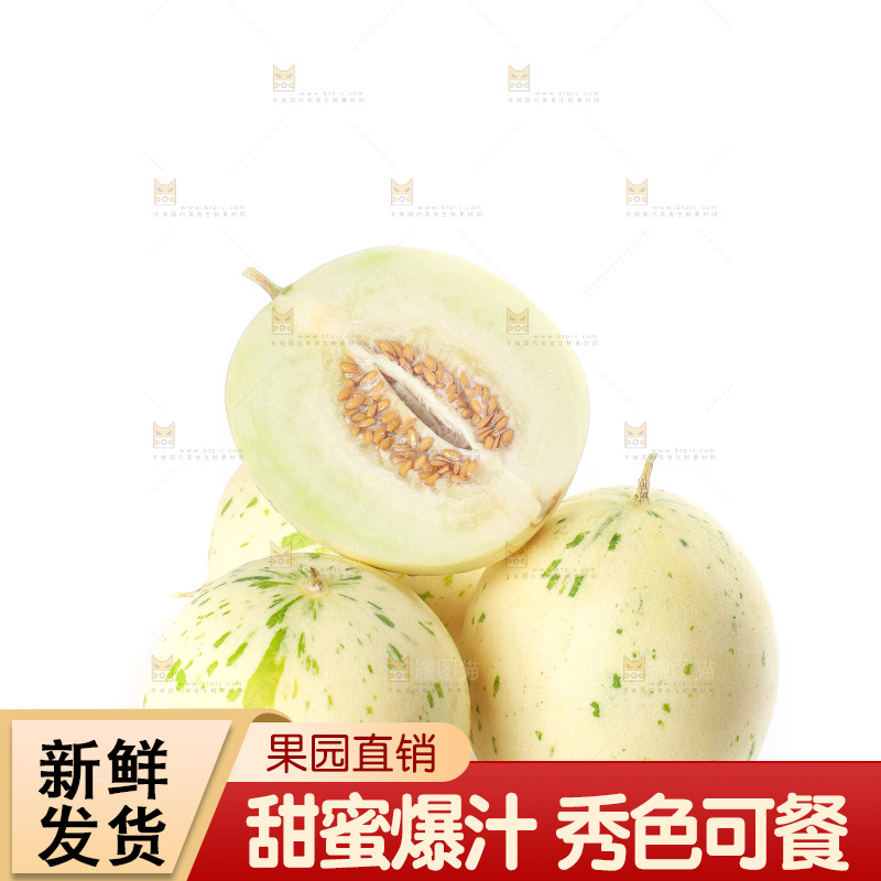 白底上的月露流星蜜瓜