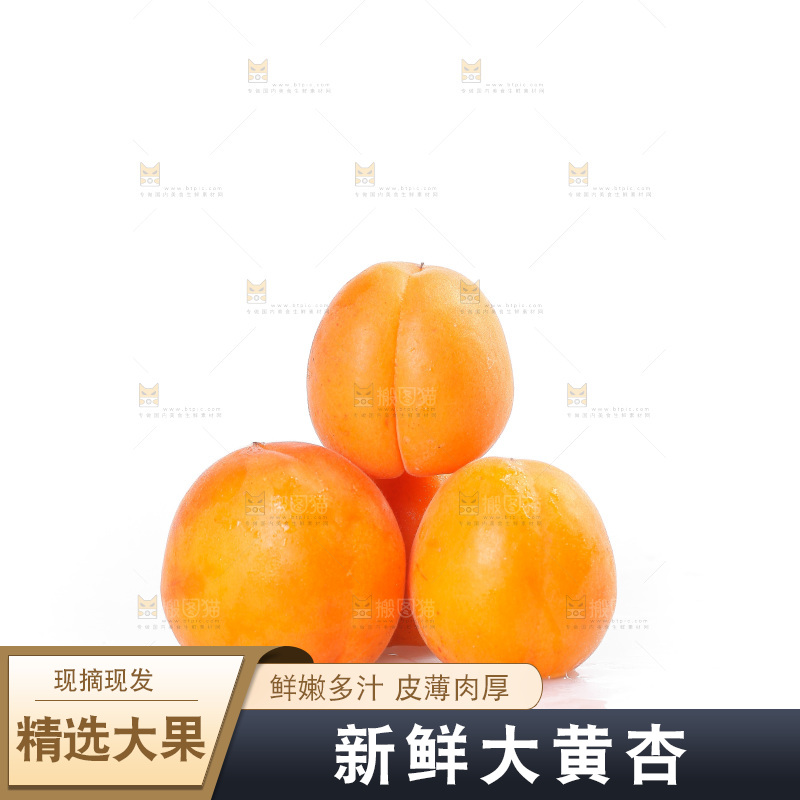 白底上的大黄杏