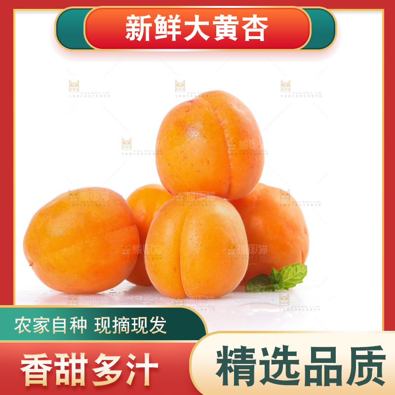 白底上的大黄杏